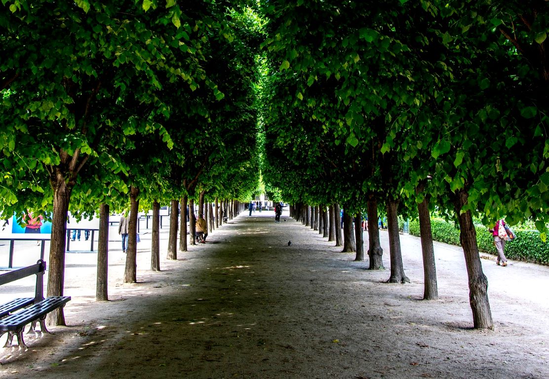 Palais Royal Gardens in Paris